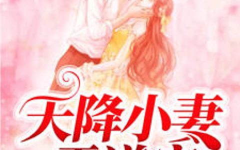 小说《天降小妻霸道宠》夏夕绾,陆寒霆完整版免费阅读