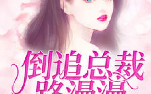 白子茵《倒追总裁路漫漫》白子茵,段晟司小说免费阅读