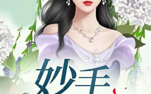 妙手回村张小虎,沈兰兰，妙手回村小说免费阅读