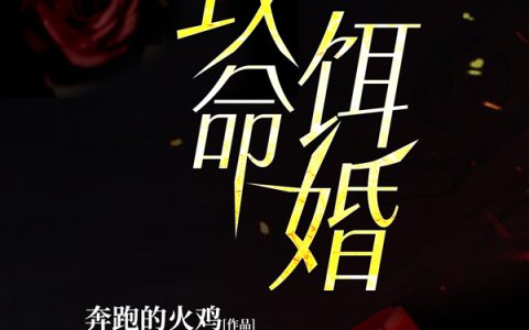 小说刘晨,小伊别闹了《致命饵婚》在线全文免费阅读