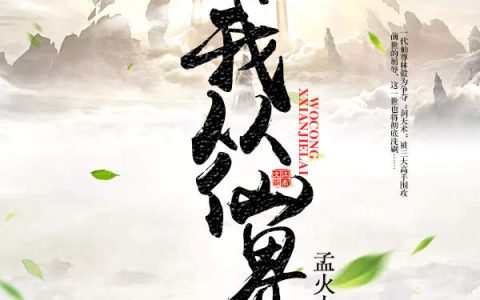 我从仙界来最新章节,林毅,王鸣小说免费阅读