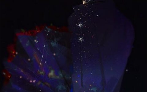 【世界之王小说主角白杨】世界之王白杨小说-世界之王小说免费阅读全文