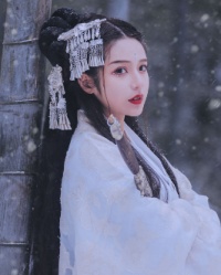 万里红妆:王爷求妃忙