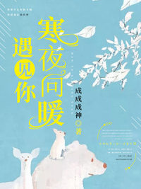 遇见你,寒夜向暖