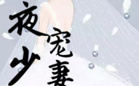 小说沈翘,《夜少宠妻如命》在线全文免费阅读