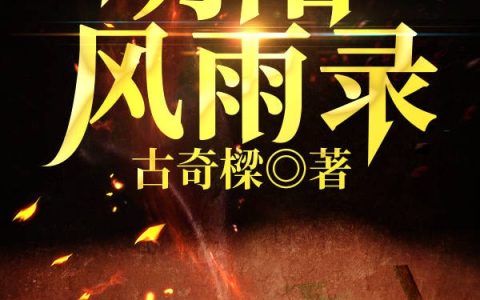 林云鹏,何美美小说《明阳风雨录》全文免费阅读
