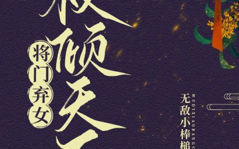 无敌小棒槌《将门弃女，权倾天下》刘锦绣,吴老小说免费阅读