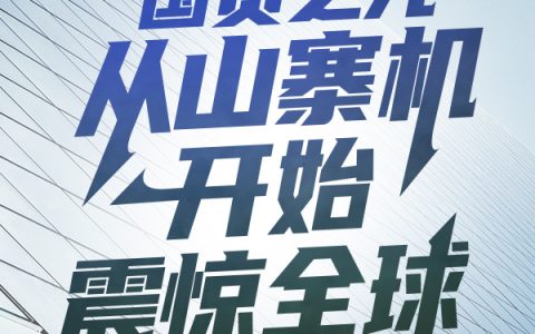 小说叶尘,陆华《国货之光，从山寨机开始震惊全球》在线全文免费阅读