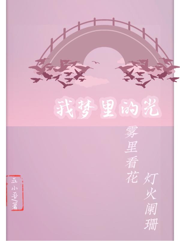 我梦里的光