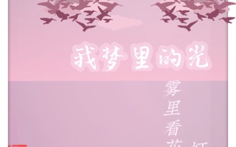 小说《我梦里的光》苏雾,卢锡完整版免费阅读
