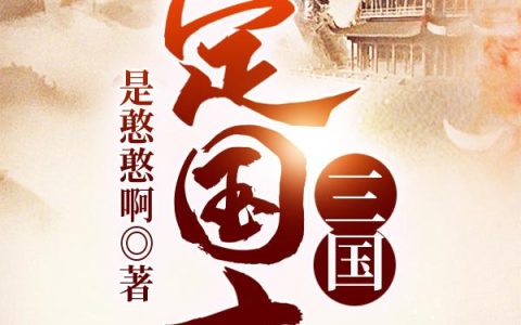 小说《三国：定国志》曹操,许无忧完整版免费阅读