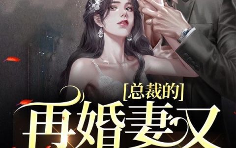 总裁的再婚妻又美又飒陆诚,楚飞飞，总裁的再婚妻又美又飒小说免费阅读