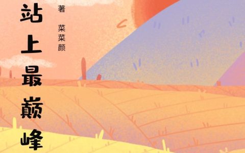 菜菜颜《陪你站上最巅峰》徐圆圆,李宇春小说免费阅读