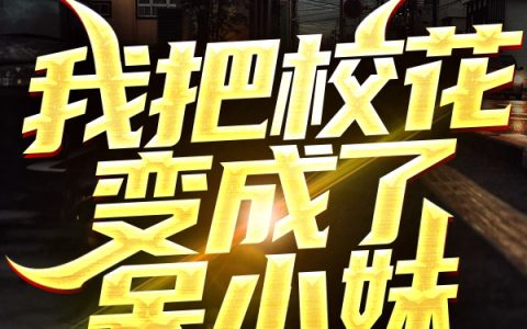 我把校花变成了呆小妹（叶陈枫,周兴才）小说在哪里可以看