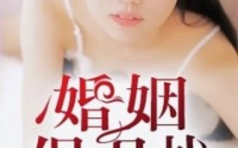小说林言,靳城《婚姻保卫战》在线全文免费阅读