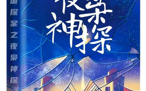 《民国探案之夜枭神探》秦凰,秦枭小说免费阅读