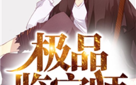 小说《极品鉴宝师》陆飞，张怀志完整版免费阅读