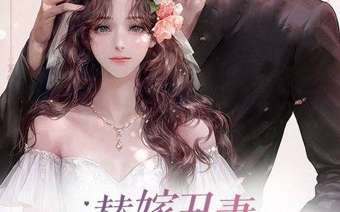 小说《重生后我嫁给了渣男他哥》陆攸宁,盛子岑完整版免费阅读