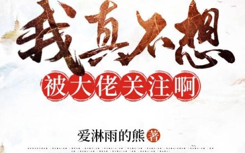 小说《我真不想被大佬关注啊》全文免费阅读