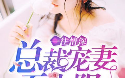 小说《一往情深：总裁宠妻无上限》顾心柠,傅池渊完整版免费阅读
