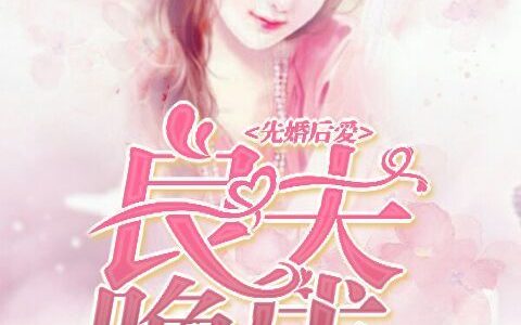 小说《先婚后爱：良夫晚成》宋灿鸢,邵严完整版免费阅读