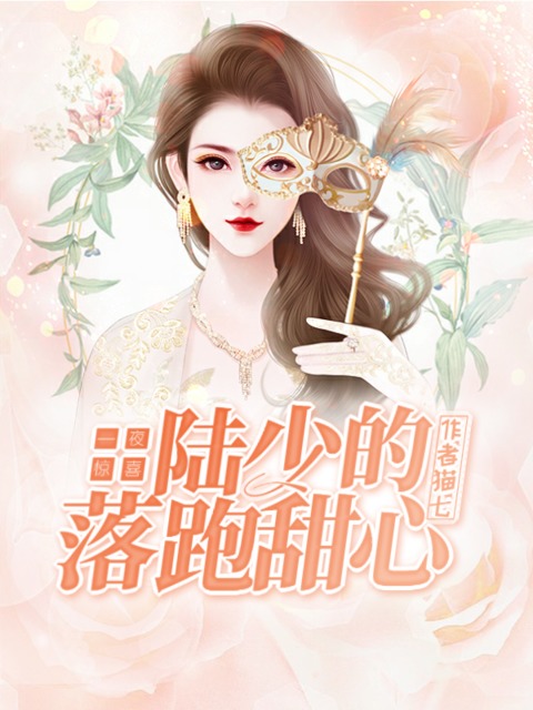 一夜惊喜,陆少的落跑甜心