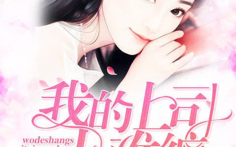 魏靓,狄傲小说全文免费阅读，《我的上司太难缠》最新章节