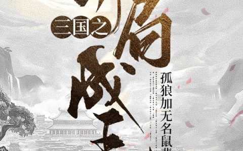 孤狼加无名鼠辈《三国之开局成王》刘宏,张林小说免费阅读