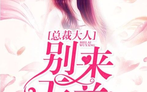 丁仙女《总裁大人：别来无恙》苏清,陆宇小说免费阅读