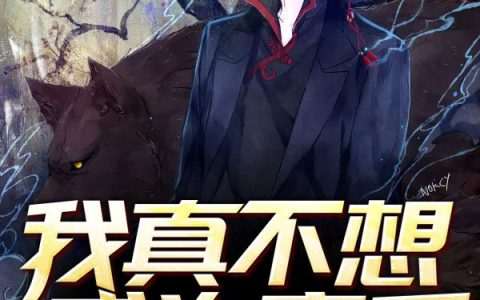 小说《我真不想成为高手》陈阳林晴雪完整版免费阅读