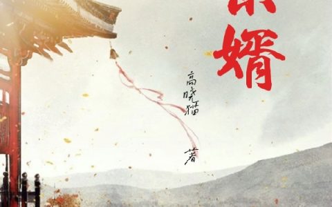 高晓猫《景婿》杨毅,柳如烟小说免费阅读