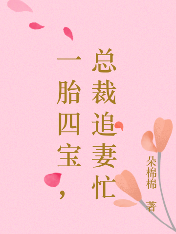 一胎四宝,总裁追妻忙