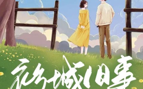 沈不渝,王奶奶小说全文免费阅读，《衫城旧事》最新章节