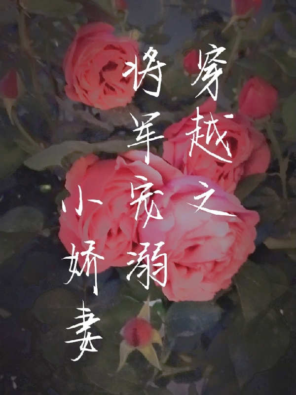 穿越之将军溺宠小娇妻