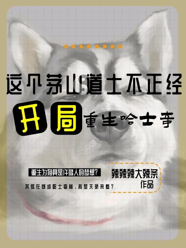 这个茅山道士不正经