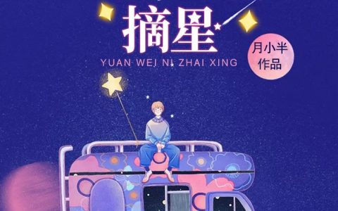 云霆顾心蕊《愿为你摘星》小说全文免费阅读