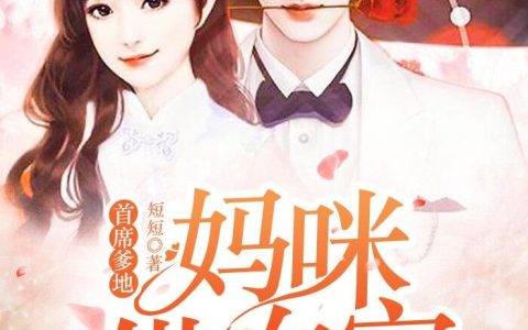 叶然霍林《首席爹地：妈咪借你宠》小说全文免费阅读