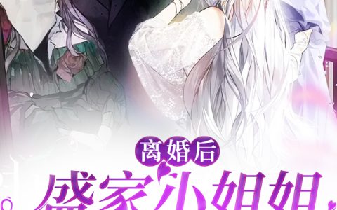 司思,司琛《离婚后，盛家小姐姐她野翻了》小说全文免费阅读