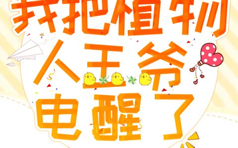 新婚夜，我把植物人王爷电醒了刘嬷嬷,云浅浅最新章节在线免费阅读