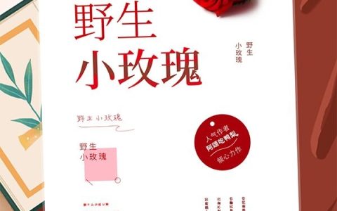 野生小玫瑰许和宁,余奢，野生小玫瑰小说免费阅读