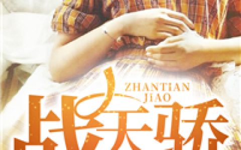 秦辉，张岚小说全文免费阅读，《战天骄》最新章节