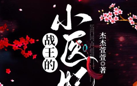 战王的小医妃薛曦,小淘，战王的小医妃小说免费阅读