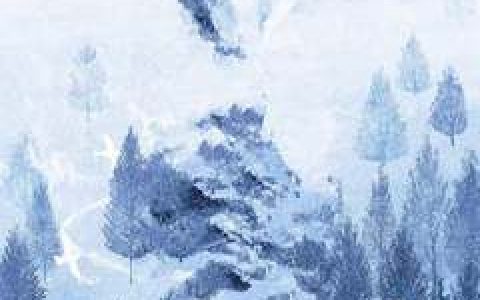 王诗蕊,蒋莫恒小说全文免费阅读，《爱你让我看不清》最新章节