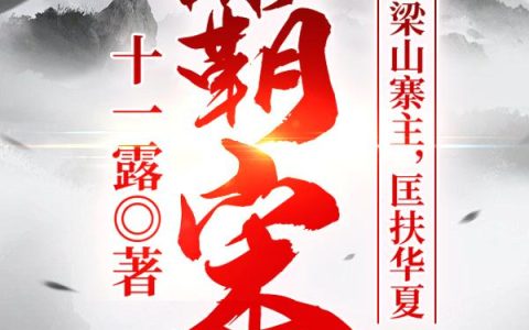 十一露《霸宋：我，梁山寨主，匡扶华夏！》王伦,晁盖小说免费阅读