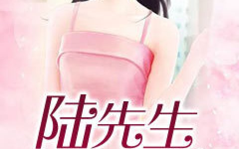 小说《陆先生情有独钟》陆安南,林见鹿完整版免费阅读