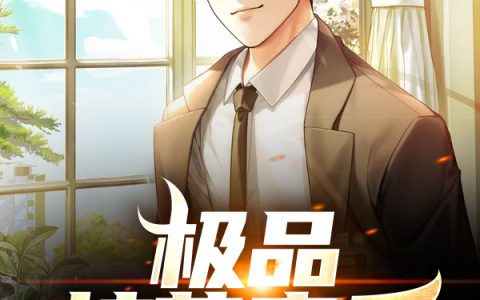 小说林若晗,江文浩《极品护花高手》在线全文免费阅读