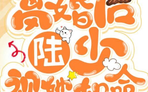 离婚后陆少视她如命（陆少霆,叶薰）最新章节在线免费阅读