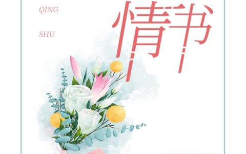 《九年情书》小说最新章节，全文免费在线阅读