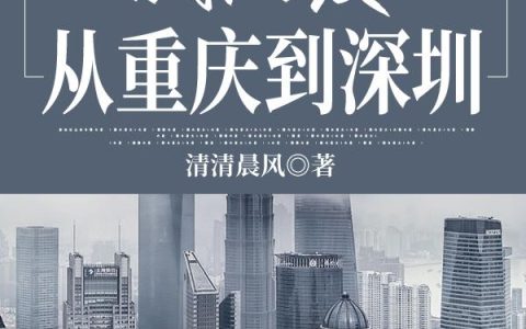 《我的爱从重庆到深圳》小说免费阅读