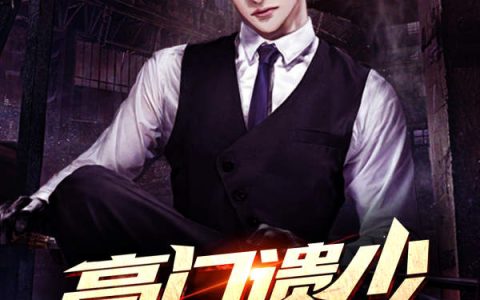 张辰,林茹茹小说《豪门遗少》全文免费阅读